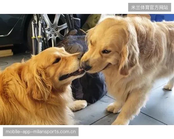 篮球小将被吹走步直接笑死，场面太惊人，网友笑翻！